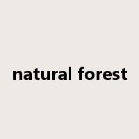 natural forest是什么意思