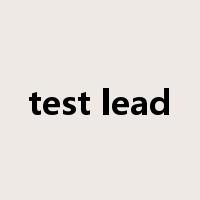 test lead是什么意思