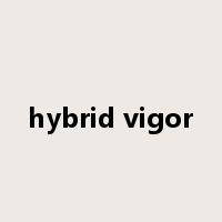 hybrid vigor是什么意思