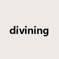divining是什么意思