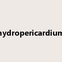 hydropericardium是什么意思