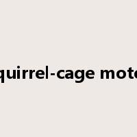 squirrel-cage motor是什么意思