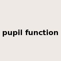 pupil function是什么意思