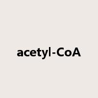 acetyl-CoA是什么意思