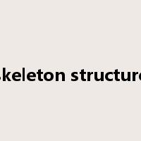 skeleton structure是什么意思