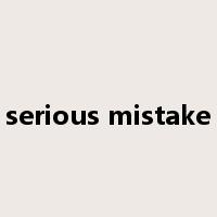serious mistake是什么意思