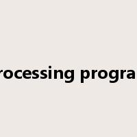 processing program是什么意思