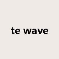 te wave是什么意思