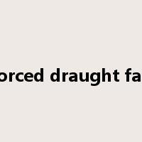 forced draught fan是什么意思
