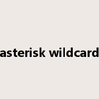 asterisk wildcard是什么意思