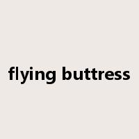 flying buttress是什么意思
