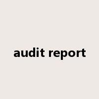 audit report是什么意思