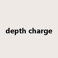depth charge是什么意思