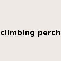 climbing perch是什么意思