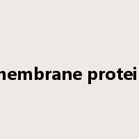 membrane protein是什么意思