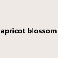 apricot blossom是什么意思