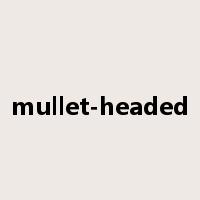 mullet-headed是什么意思