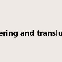 glittering and translucent是什么意思
