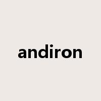 andiron是什么意思