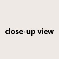 close-up view是什么意思