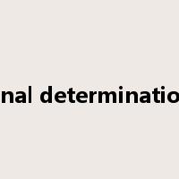 final determination是什么意思