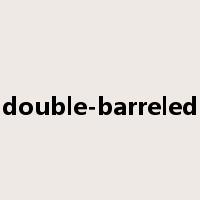 double-barreled是什么意思