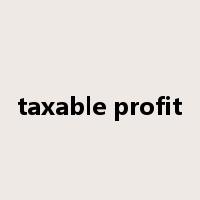 taxable profit是什么意思