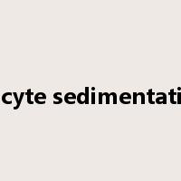 erythrocyte sedimentation rate是什么意思