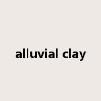 alluvial clay是什么意思