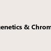 Epigenetics & Chromatin是什么意思