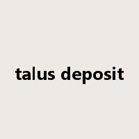 talus deposit是什么意思