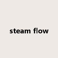 steam flow是什么意思