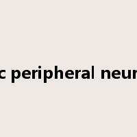 diabetic peripheral neuropathy是什么意思