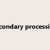 secondary processing是什么意思