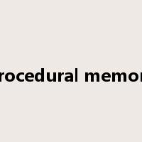 procedural memory是什么意思
