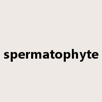 spermatophyte是什么意思