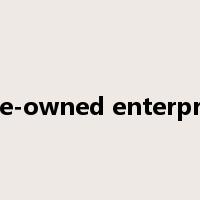 state-owned enterprises是什么意思