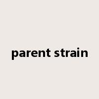 parent strain是什么意思