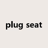 plug seat是什么意思