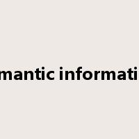 semantic information是什么意思