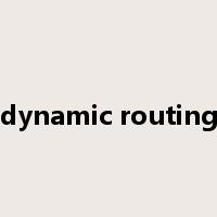 dynamic routing是什么意思