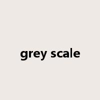 grey scale是什么意思