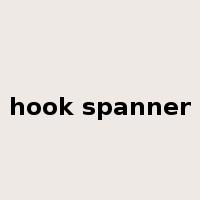 hook spanner是什么意思