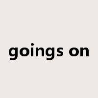 goings on是什么意思