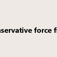 conservative force field是什么意思