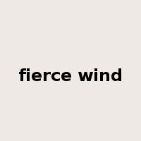 fierce wind是什么意思