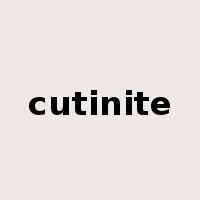cutinite是什么意思
