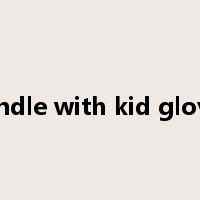 handle with kid gloves是什么意思