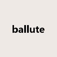ballute是什么意思