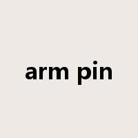 arm pin是什么意思